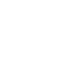 AXON