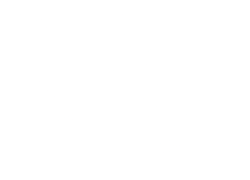 WSM